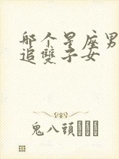 哪个星座男会猛追双子女