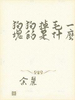 狗狗掉毛一块一块的是什么原因