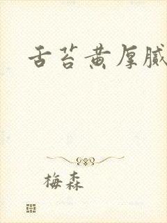 舌苔黄厚腻口干