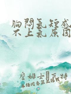 胸闷气短感觉喘不上气原因