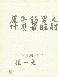 属牛的男人佩戴什么最旺财