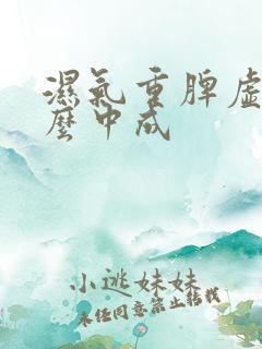 湿气重脾虚吃什么中成