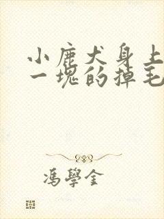 小鹿犬身上一块一块的掉毛