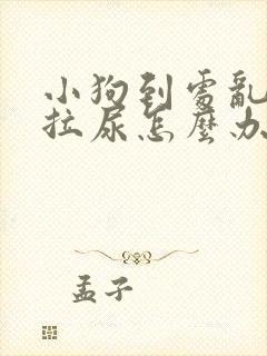 小狗到处乱拉屎拉尿怎么办