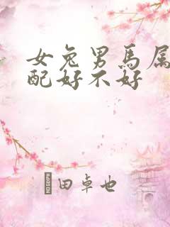 女兔男马属相婚配好不好