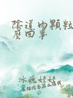 阴道肉颗粒是怎么回事