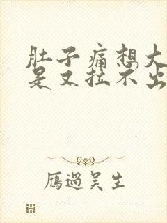 肚子痛想大便但是又拉不出来是什么原因