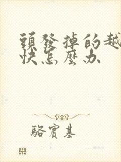 头发掉的越来越快怎么办