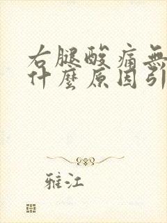 右腿酸痛无力是什么原因引起的