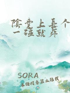 阴囊上长个疙瘩一碰就疼