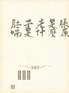 肚子老是胀气打嗝是什么原因