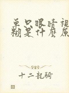 单只眼睛视力模糊是什么原因