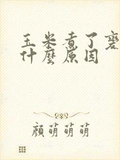 玉米煮了变黑是什么原因