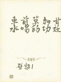 车前草加甘草煮水喝的功效