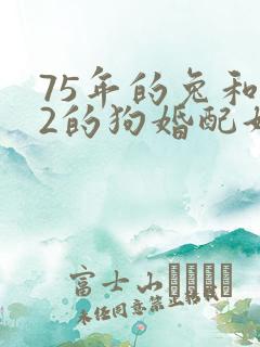 75年的兔和82的狗婚配好吗