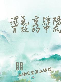 湿气重脾阳虚最有效的中成药