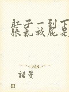 肚子一到下午就胀气放屁是为什么