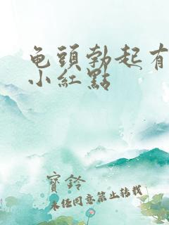 龟头勃起有许多小红点