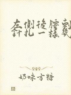 左侧后腰刺痛感针扎一样几秒疼一下