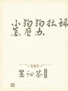 小狗狗拉稀带血怎么办