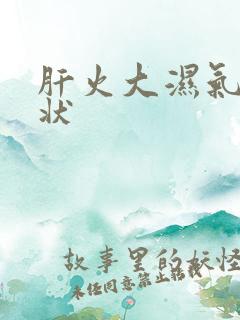 肝火大湿气重症状