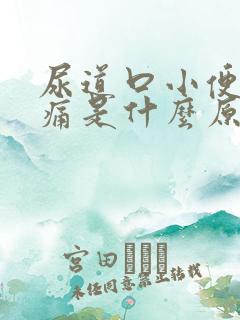 尿道口小便时刺痛是什么原因引起的