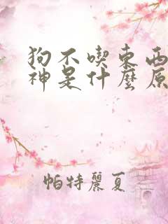 狗不吃东西没精神是什么原因