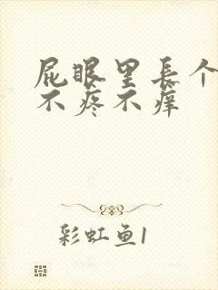 屁眼里长个肉球不疼不痒