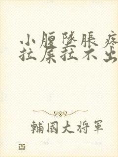 小腹坠胀疼痛想拉屎拉不出来