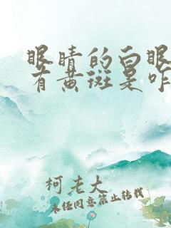 眼睛的白眼球上有黄斑是咋回事