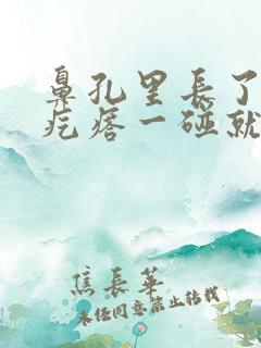 鼻孔里长了一个疙瘩一碰就疼