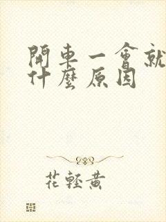 开车一会就犯困什么原因