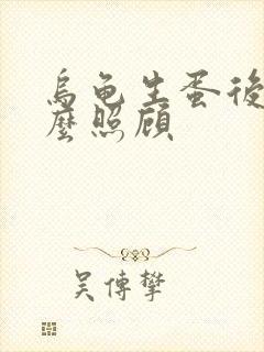 乌龟生蛋后要怎么照顾