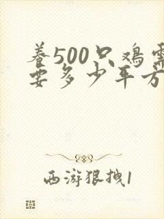 养500只鸡需要多少平方