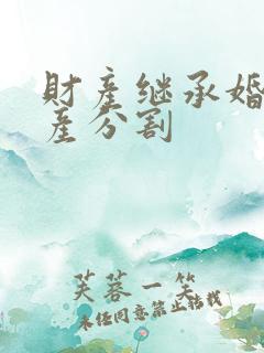 财产继承婚姻财产分割