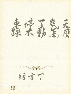 车停了几天刹车踩不动怎么回事