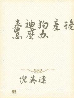 泰迪狗产后拉稀怎么办