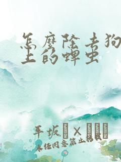 怎么除去狗狗身上的蜱虫