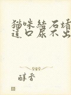 猫咪结石堵住尿道口尿不出来怎么办