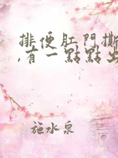 排便肛门撕裂疼,有一点点出血