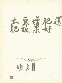 土豆增肥还是减肥效果好