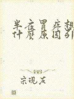 半夜胃疼想吐是什么原因引起的