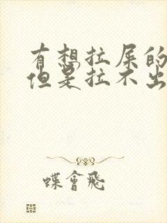 有想拉屎的感觉但是拉不出来老放屁