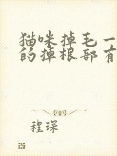 猫咪掉毛一撮撮的掉根部有痂