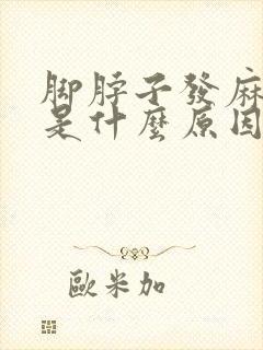 脚脖子发麻发木是什么原因