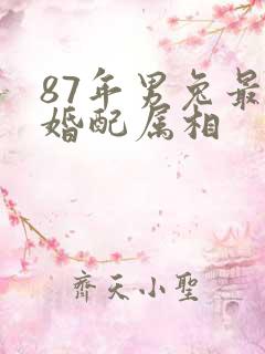 87年男兔最佳婚配属相