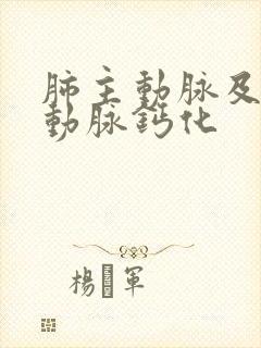 肺主动脉及冠状动脉钙化