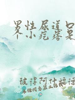 男性尿道口长一个小疙瘩是怎么回事儿