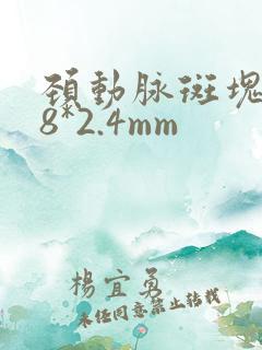 颈动脉斑块6.8*2.4mm