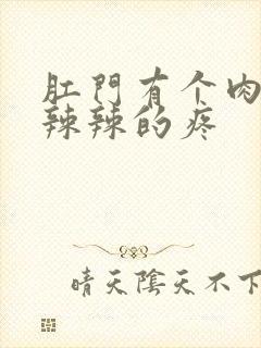 肛门有个肉球火辣辣的疼